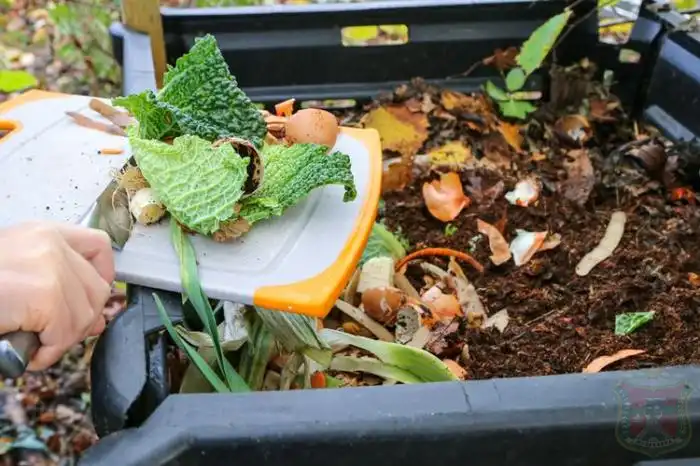 Jangan Dibuang! Cara Mudah Mengubah Sampah Sisa Dapur Menjadi Pupuk Kompos Subur