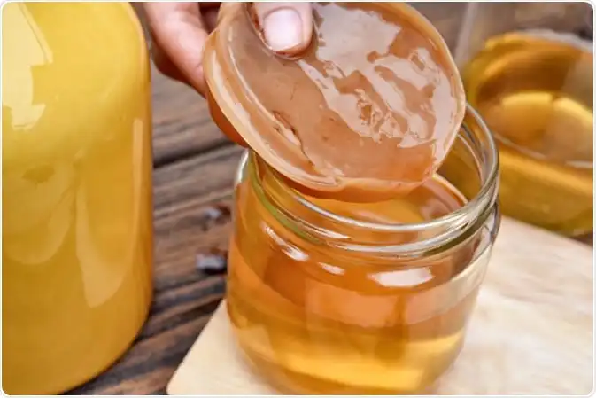 Gak Perlu Beli Mahal! Ini Cara Mudah Bikin Kombucha Sendiri di Rumah yang Aman dan Segar