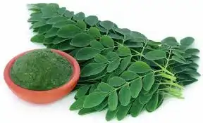 Bosan Sayur Bening? Ini 5 Resep Kreasi Daun Katuk dan Kelor yang Lezat dan Tidak Pahit