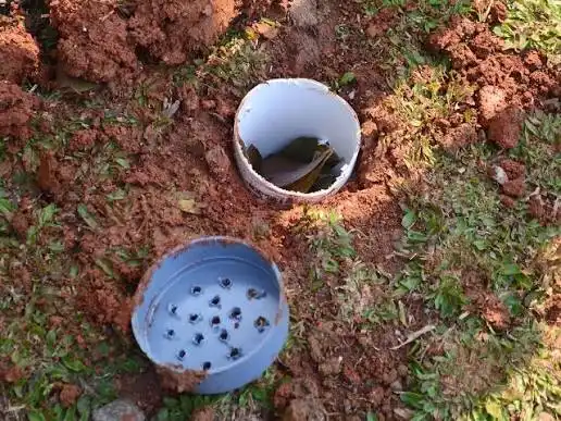 Jangan Biarkan Air Hujan Terbuang, Ini Cara Mudah Bikin Lubang Biopori di Rumah Penyelamat Kekeringan