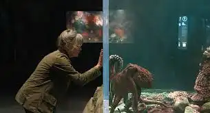 Eksklusif Shelby Van Pelt: Harapan Besar untuk Adaptasi Film Remarkably Bright Creatures