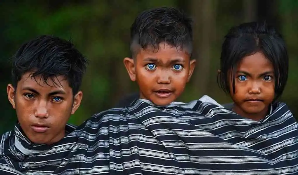 Menatap Safir di Balik Rimbunnya Halmaheradi Balik Keberadaan Suku Mata Biru 