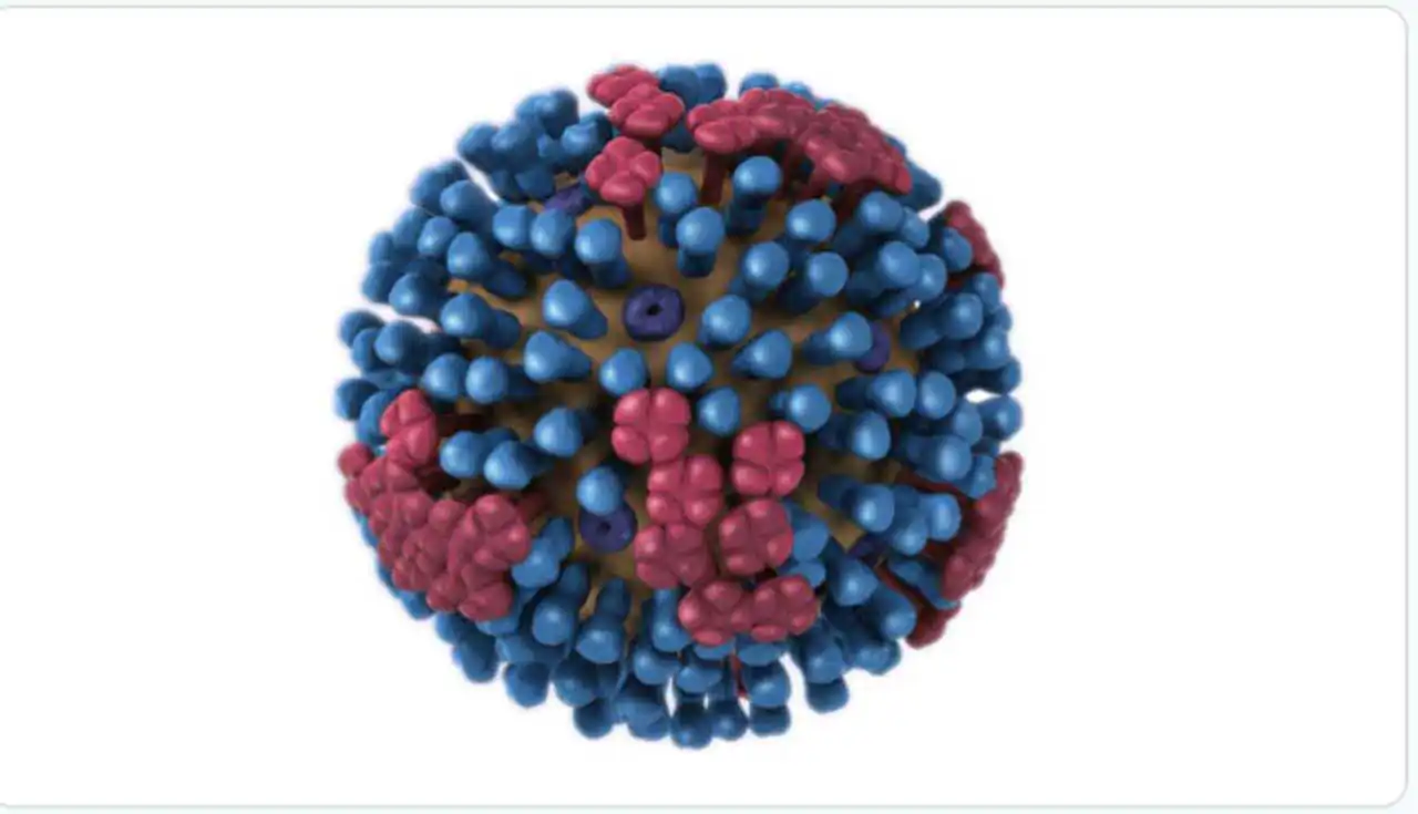 Superflu: Virus Flu A (H3N2) Subclade K yang Sedang Jadi Obrolan