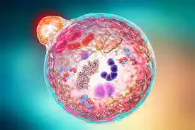 Tubuh Bisa Bersihin Sampah Sendiri? Ini Cara Kerja Autofagi yang Menakjubkan