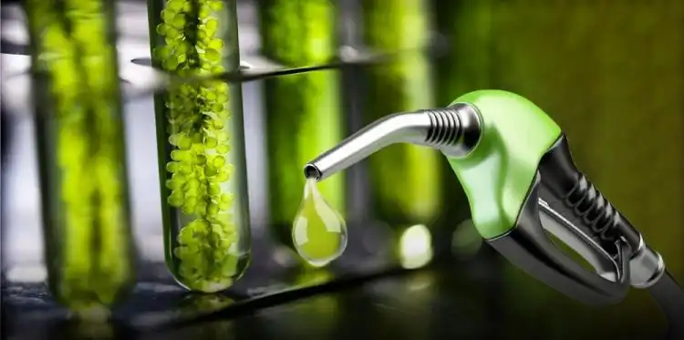 Bioetanol vs Biodiesel: Menakar Masa Depan Energi Hijau di Jalanan Indonesia