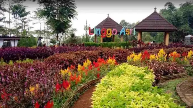 10 Tempat Wisata di Pekalongan yang Wajib Dikunjungi, dari Alam hingga Wisata Budaya
