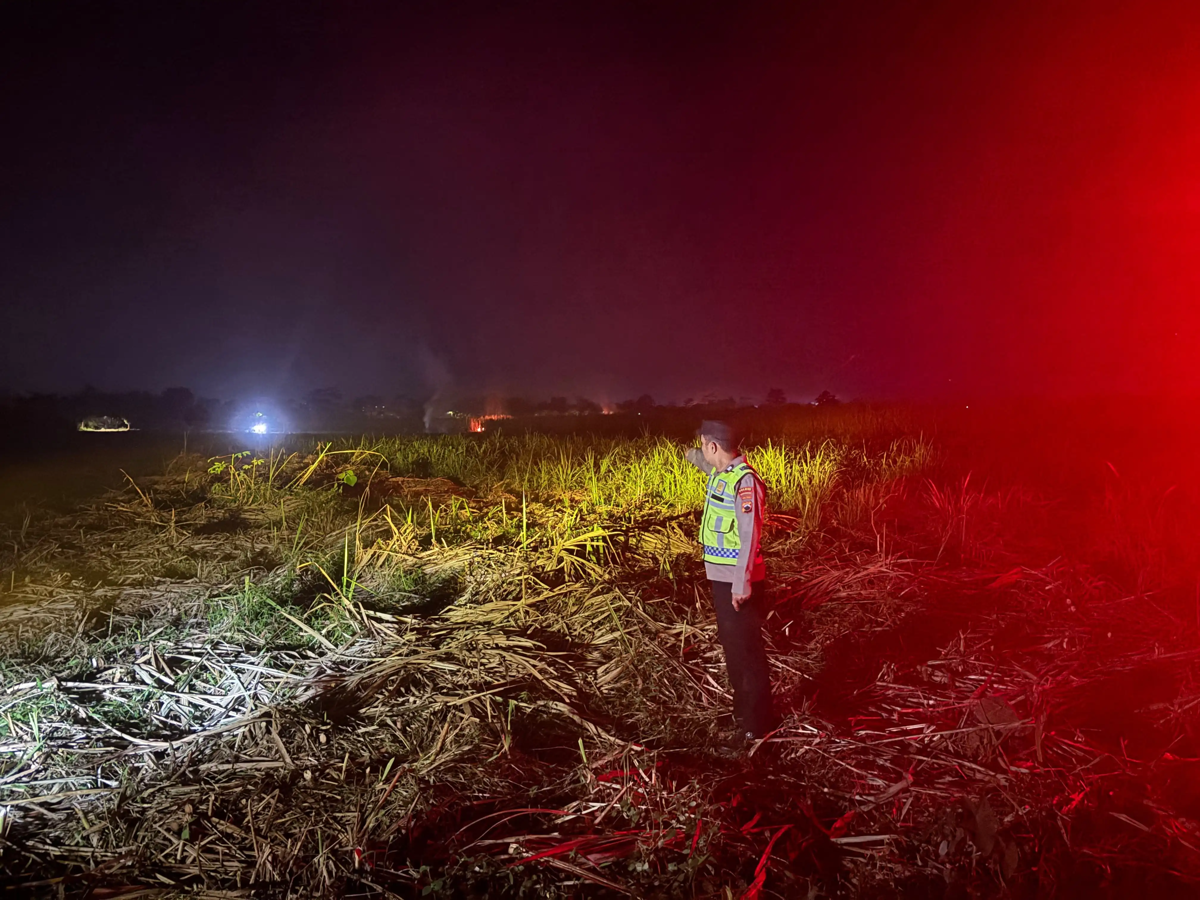 Empat Lahan Ladang Tebu di Kajen Disambar Si Jago Merah 