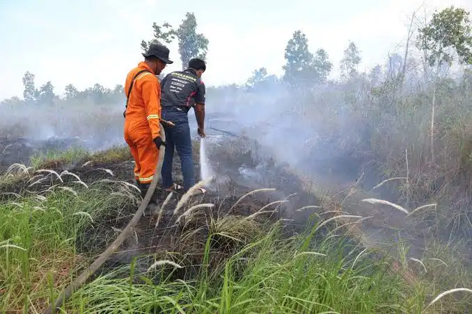 Karhutla Kalsel Meluas, 6.029 Hektare Terbakar dan Ganggu Penerbangan
