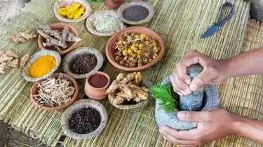 Dari Amazon hingga Nusantara: Kontribusi Farmasi Tradisional Suku Adat Bagi Dunia Medis