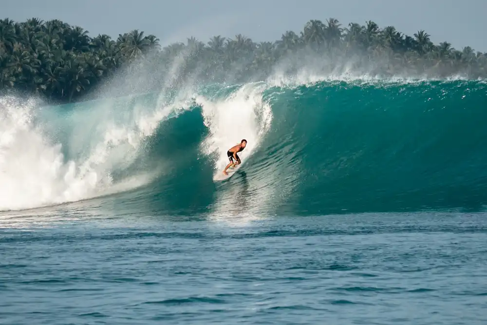 Surga Para Surfer, 5 Pantai di Indonesia dengan Ombak Terbaik yang Mendunia