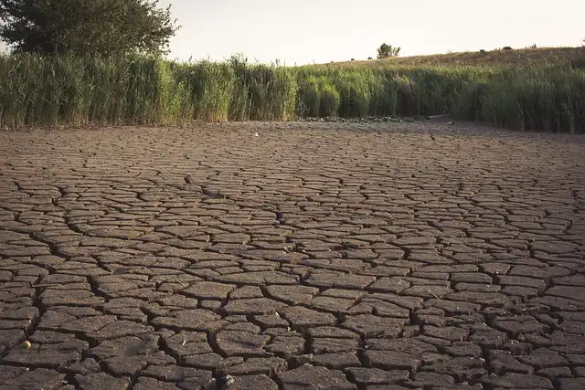 El Nino Masuki Fase Moderat, BMKG Minta Masyarakat Waspada Ancaman Kekeringan