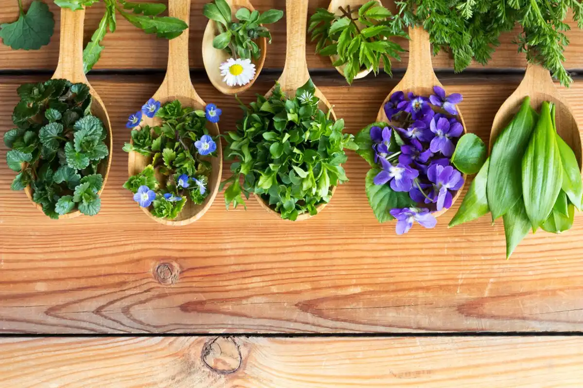 Cara Unik Memanfaatkan Bunga dari Kebun Sebagai Bahan Masakan dan Garnish Cantik