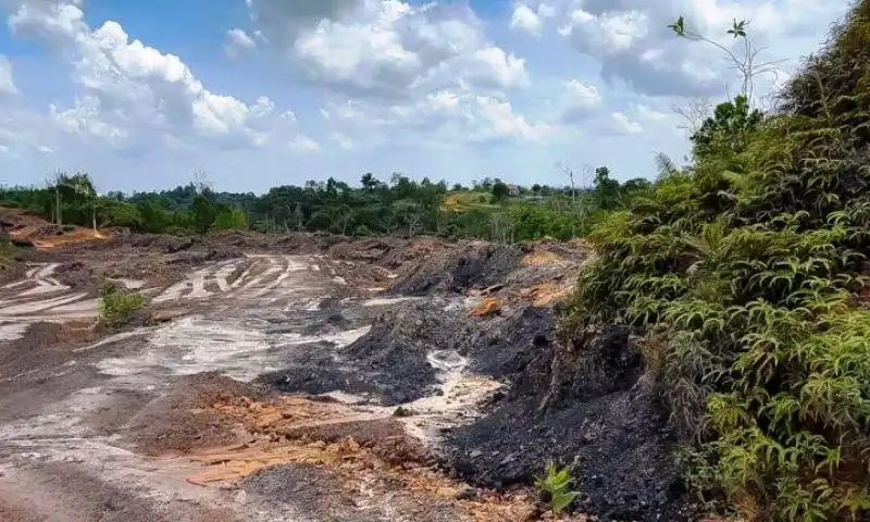 Hutan: Legal Dijaga, Nyata Dirusak