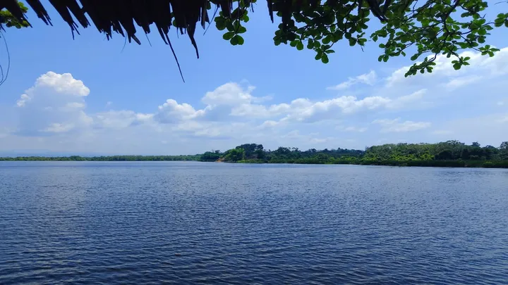 Legenda Danau Bakuok dan Sistem Konservasi Tradisional Ma'awuo yang Melindungi Kekayaan Ikan Sungai