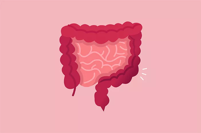Mood Sering Berantakan? Coba Cek Pencernaanmu, Bisa Jadi Ususmu Lagi Stres!