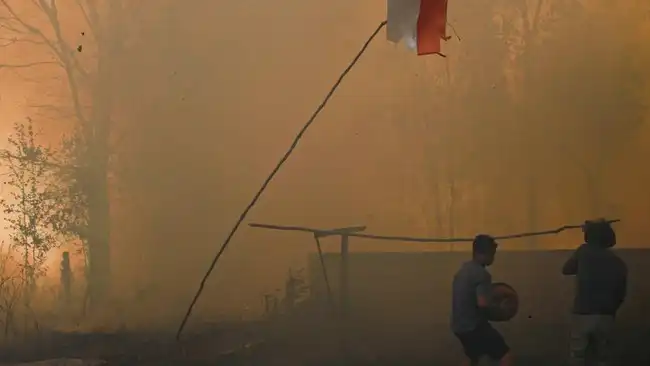 Kalimantan Memerah! Ribuan Titik Api Memicu Seruan "Pray for Kalimantan" di Media Sosial