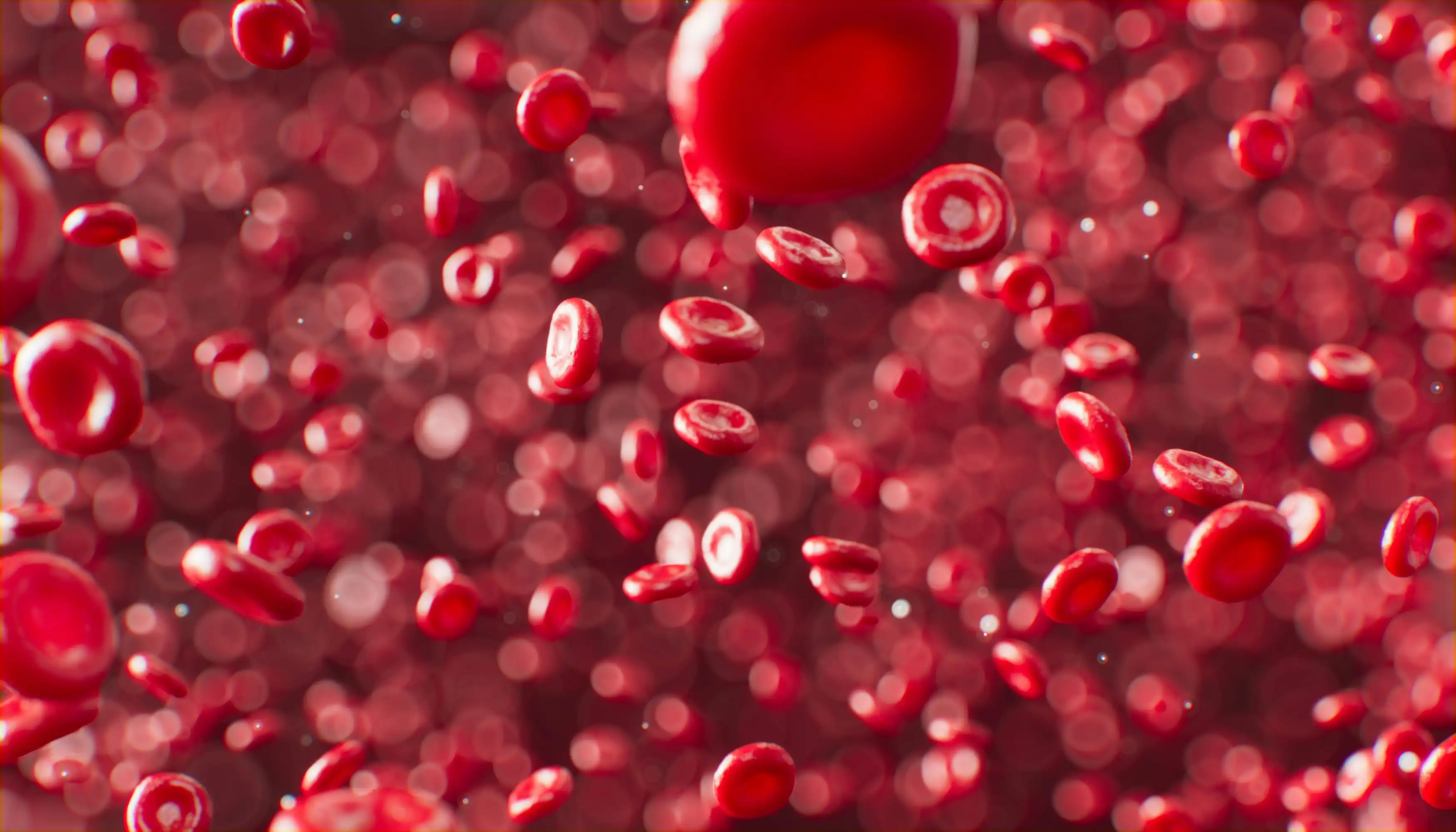 Fakta Anemia Aplastik serta Realitas Kelumpuhan Pabrik Darah yang Lebih Fatal dari Anemia Biasa