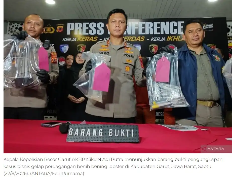 Sindikat Benih Lobster di Garut Terbongkar, Polisi Ungkap Operasi yang Berjalan 10 Tahun