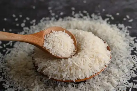 Jangan Keliru, Ini Perbedaan Beras Shirataki dan Beras Porang yang Perlu Diketahui