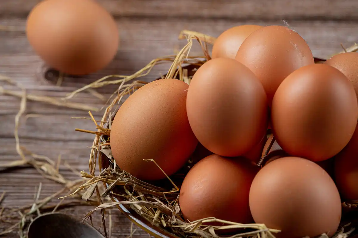 Rahasia Menit-menit Krusial Merebus Telur: Simak Tips Agar Kuning Telur Gak Berwarna Abu-abu!