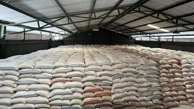 Waspada "Godzilla" El Nino 2026: BMKG Prediksi Kemarau Lebih Kering, Mentan Klaim Stok Beras Aman