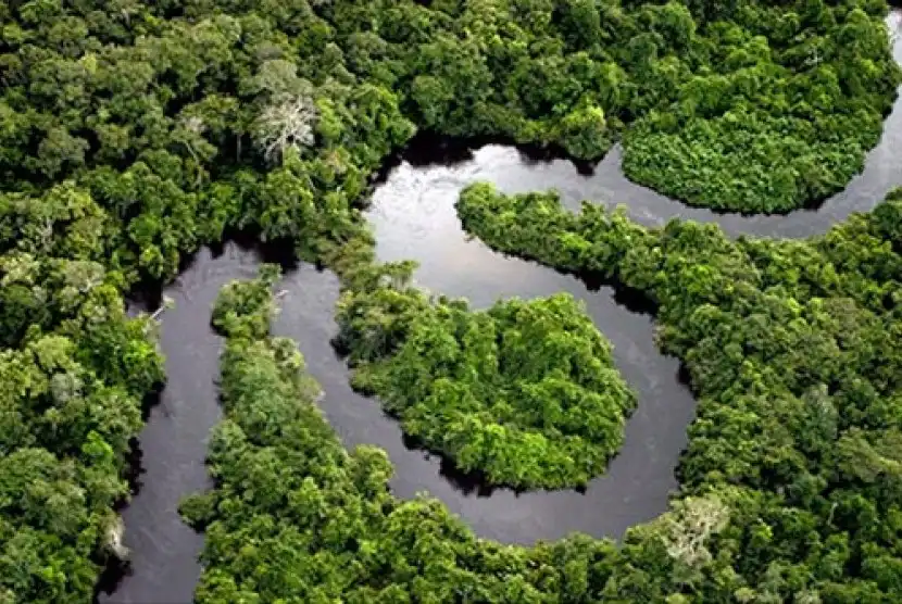Fenomena Sungai Tak Kasat Mata di Balik Kesuburan Pertanian Amerika Selatan