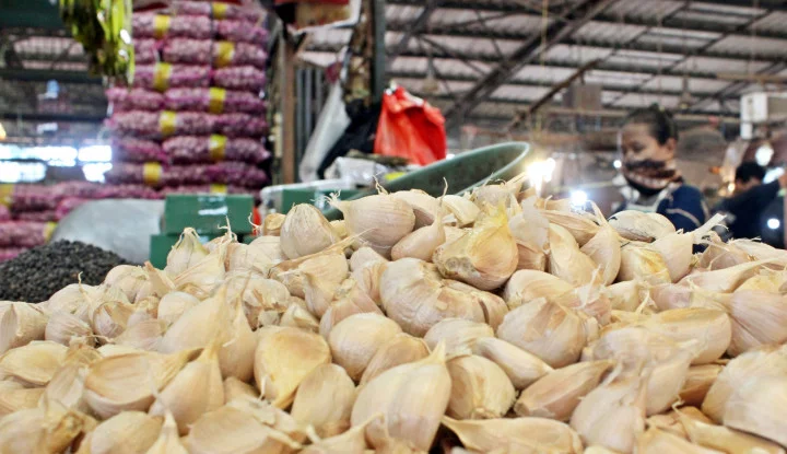 Presiden Sebut Gaji Pengupas Bawang Rp700 Ribu per Kg, Mensesneg Klarifikasi Konteksnya