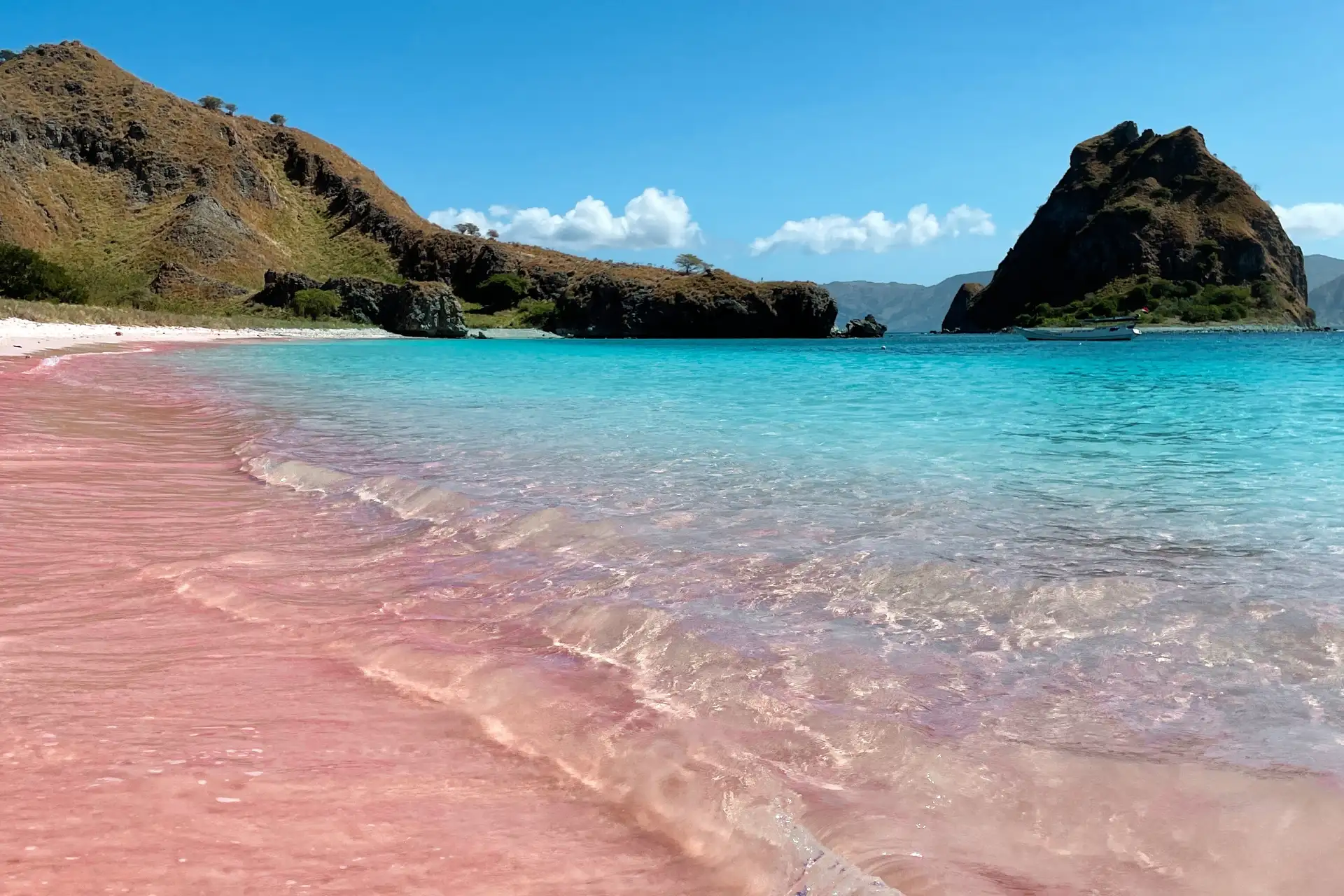 Pesona Pink Beach yang Langka Mengapa Butiran Pasirnya Sangat Berharga bagi Ekosistem Laut