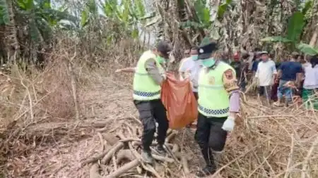 Lansia 76 Tahun Ditemukan Meninggal di Kebun Legokgunung Pekalongan Setelah Tiga Hari Hilang