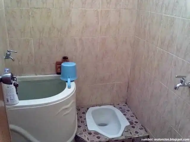 Pantas Saja Tetap Banyak Nyamuk, Ternyata Benda-Benda Rumah Tangga Ini Sering Jadi Tempat Bertelur