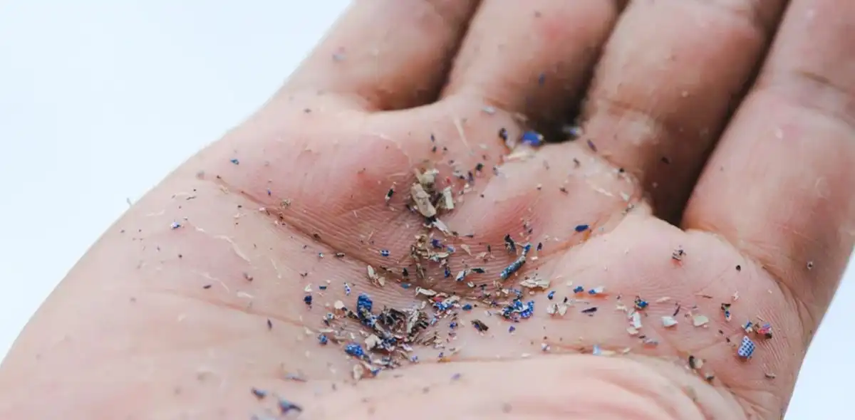 Ancaman Tak Kasat Mata, Mikroplastik dalam Makanan dan Dampaknya bagi Kesehatan Tubuh