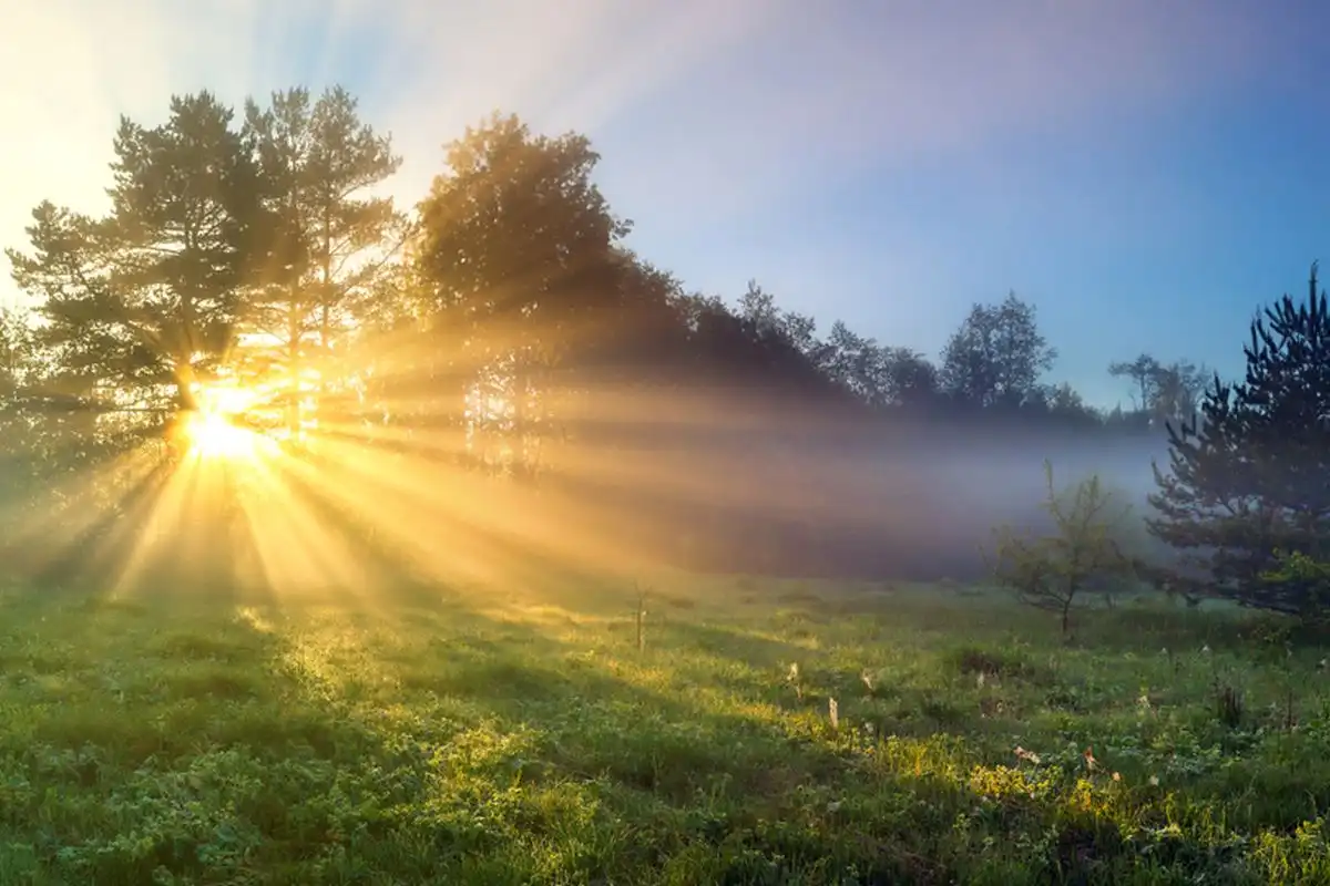 Sering Cemas Berlebih? Bisa Jadi Kamu 'Lapar' Cahaya Matahari, Yuk Pahami Sunlight Hygiene!