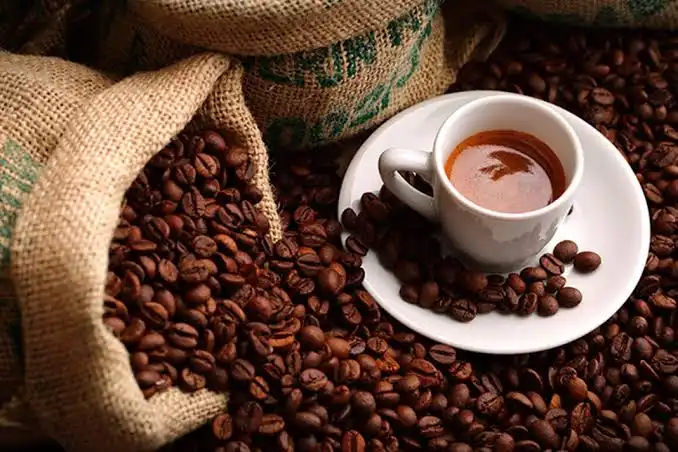 Kopi Gayo dan Alasan Menjadi Pilihan Utama Starbucks Dunia serta Keunikan Teknik Giling Basah