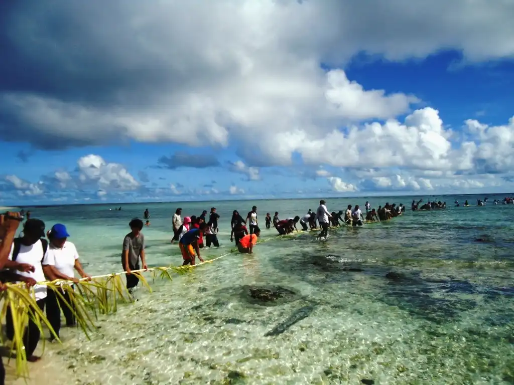 Tradisi Mane'e: Kearifan Lokal Menangkap Ikan dengan Janur Kelapa di Kepulauan Talaud
