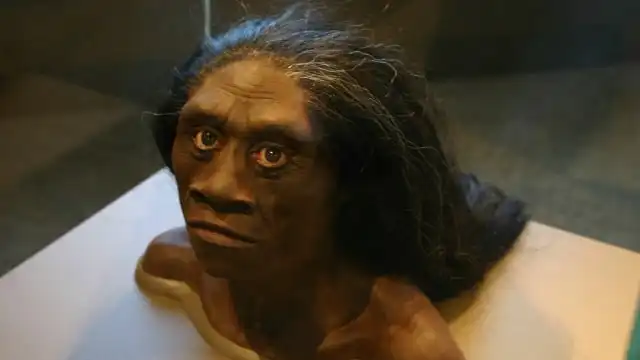 Bukan Dongeng! Mengenal Homo Floresiensis, 'Manusia Hobbit' Asal NTT yang Sempat Bikin Ilmuwan Bingung