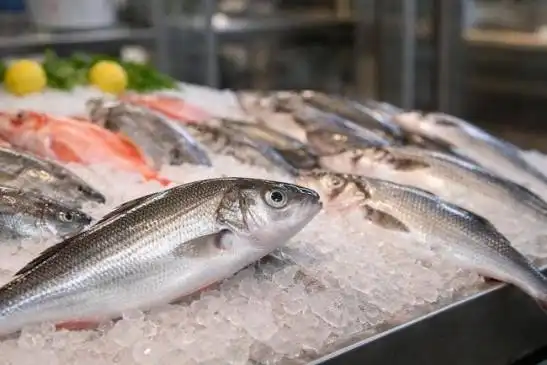 Tips Memilih Ikan Segar di Pasar: Jangan Sampai Terkecoh Pengawet Berbahaya!