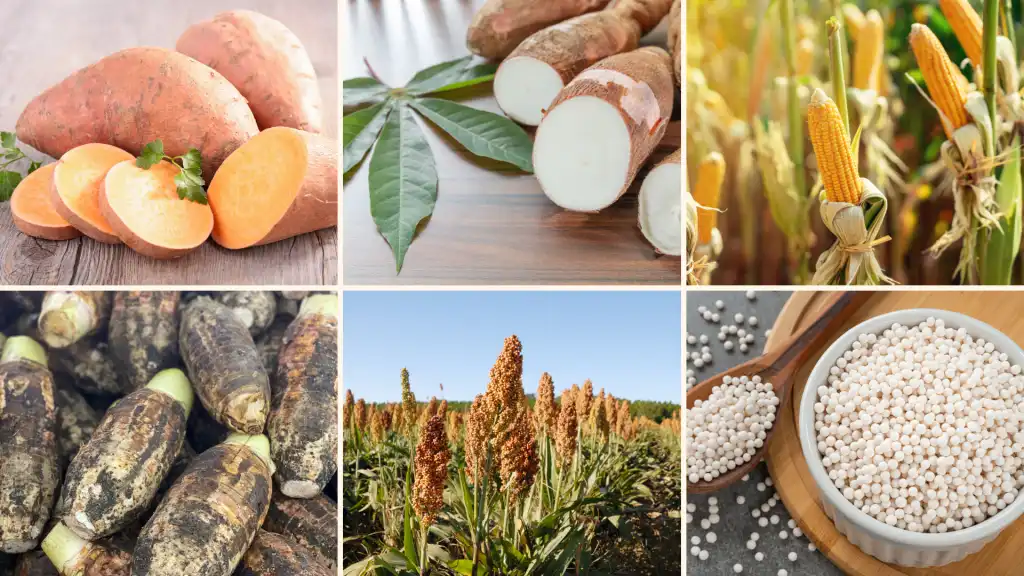 Superfood Lokal! 6 Makanan Pokok Indonesia Pengganti Nasi yang Lebih Rendah Glikemik