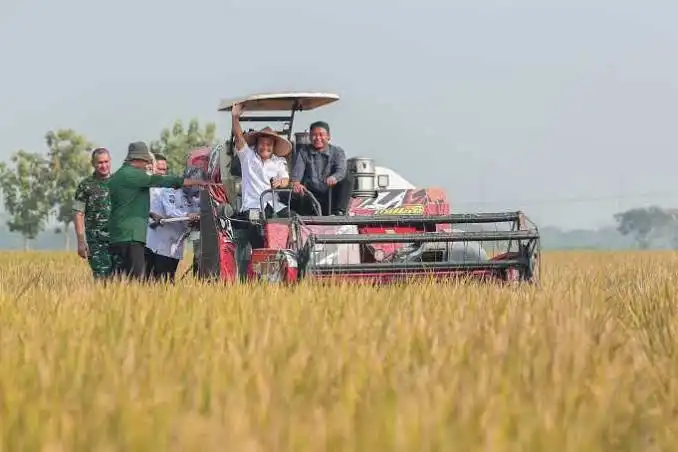 Produksi Padi Jateng Diproyeksi Capai 6,69 Juta Ton, Pemprov Siapkan Antisipasi Kemarau