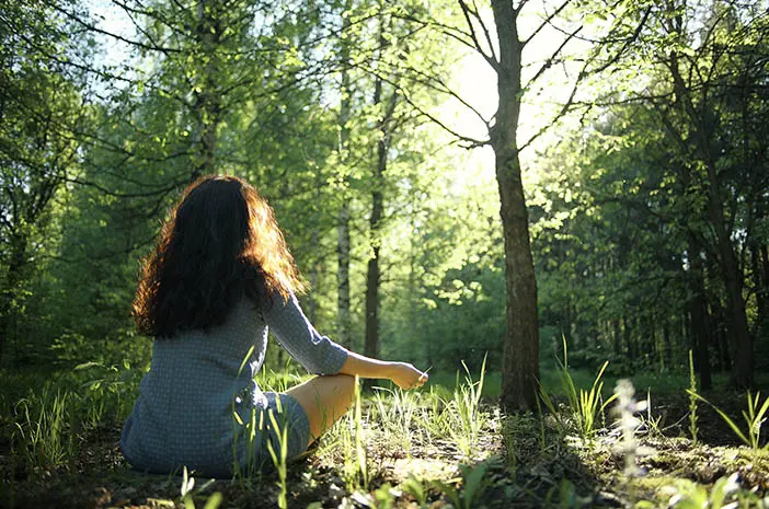 Lagi Stres Berat? Cobain Shinrin-yoku, Terapi "Mandi Hutan" ala Jepang yang Ampuh Tenangkan Pikiran