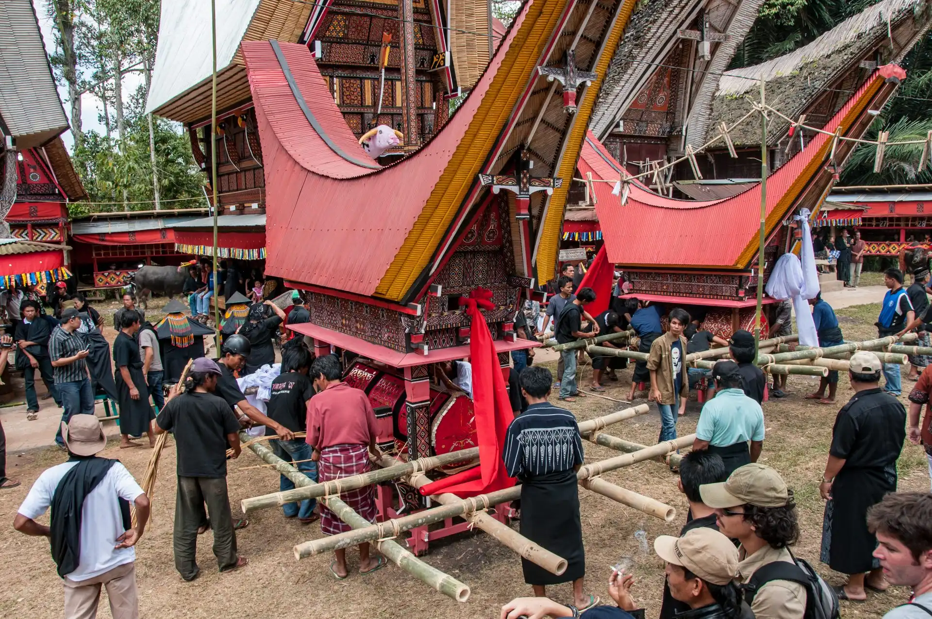 Mengapa Kematian di Toraja Bukanlah Perpisahan Melainkan Sebuah Perjalanan Menuju Puya