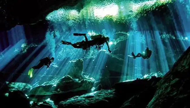 Mengenal Diving: Olahraga Menyelam yang Seru Sekaligus Menantang
