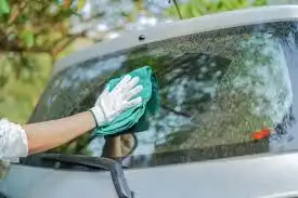 Kaca Mobil Buram? Ini Cara Gampang Bersihkan Jamur Sendiri di Rumah Pakai Bahan Murah