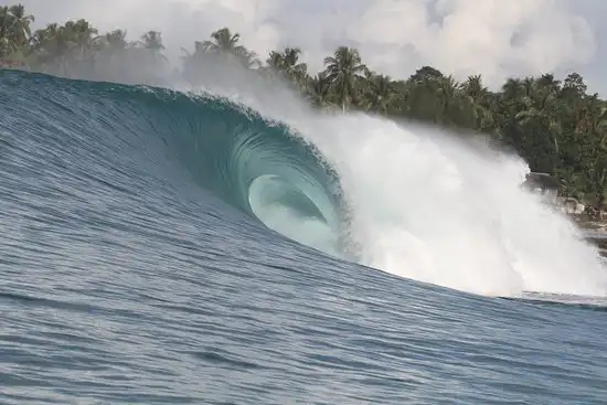 The Perfect Wave Nias Pascagempa 2005 yang Mengubah Arus Samudra Hindia 