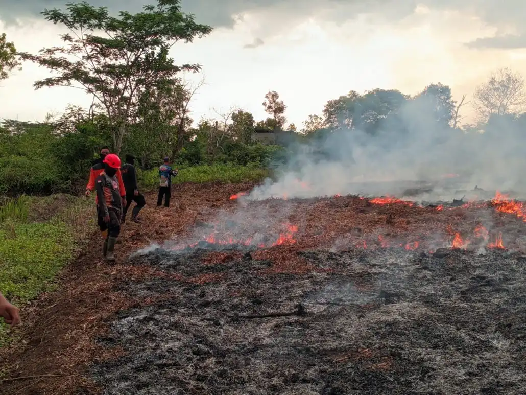 Kepergok Bocah, 'Pria Senter' Ternyata Terlibat Karhutla di Palangka Raya