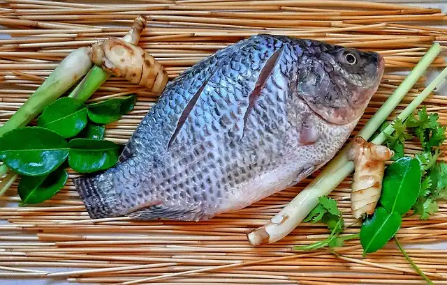 Ikan Nila Indonesia Tembus Pasar Premium AS dan Eropa, Catat Nol Penolakan Ekspor