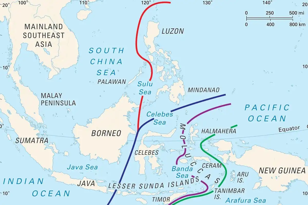 Mengapa Hewan di Sulawesi Tidak Ada di Tempat Lain dan Rahasia di Balik Garis Wallace