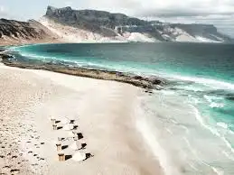 Bukan untuk Manja! Ini Alasan Logis Kenapa Socotra Adalah Surga Bagi Penjelajah Sains