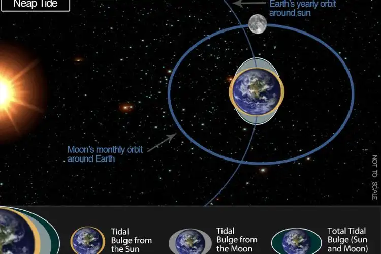 Mengapa Bentuk Bulan Berubah? Memahami 8 Fase Bulan dan Rahasia di Baliknya