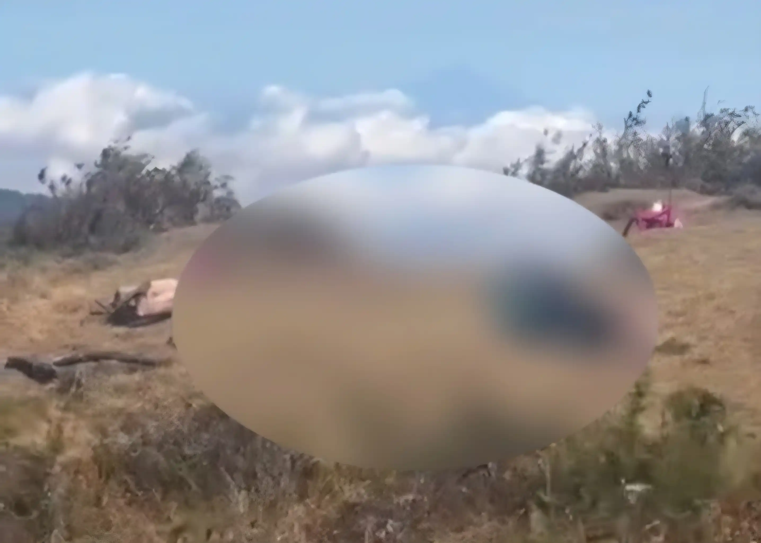 Kepergok Bermesraan di Gunung Prau, Sejoli Pendaki Sempat Cekcok dengan Perekam Video
