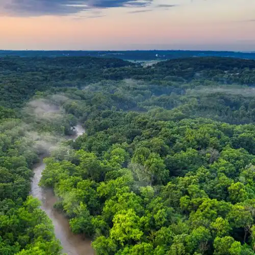 Gak Cuma Segar, Ternyata Ini Alasan Medis Mengapa Menghirup Udara Hutan Bisa Bikin Tubuh Jarang Sakit